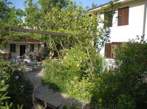 Misafir Evi Hotell Kayakoy Exteriör bild